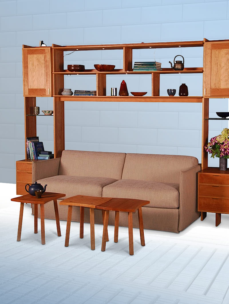 Wall Unit with Sofa Bed